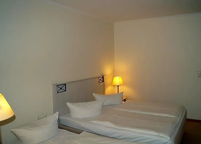 Entree Gross Borstel Garni 4*